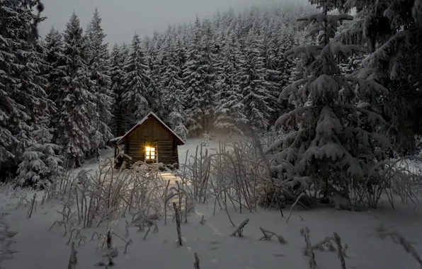 Winter, forest, light, snow, trees, house, twilight