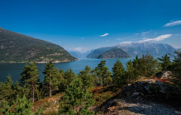 Picture the sky, trees, mountains, rocks, Norway, the fjord