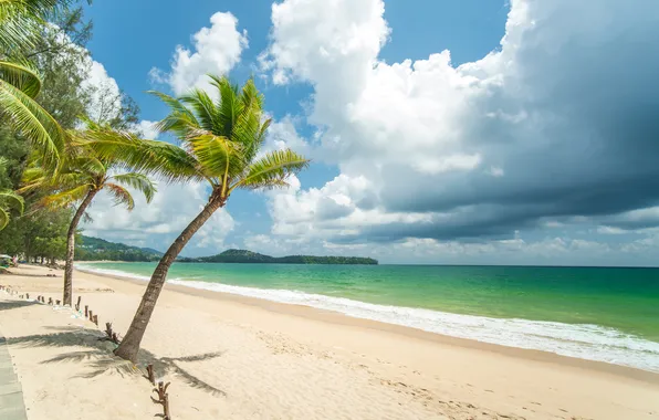 Sand, sea, wave, beach, summer, the sky, palm trees, shore