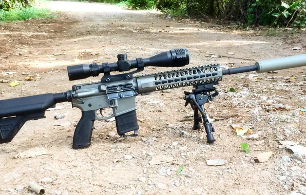 Weapons, optics, assault rifle, fry
