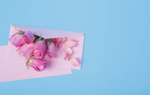 Letter, flowers, holiday, roses, bouquet, petals, gentle, pink