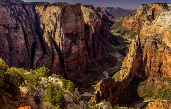 The sun, trees, mountains, stones, rocks, height, canyon, panorama