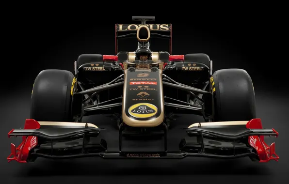 Picture the car, Formula 1, renault, lotus, Vitaly Petrov, renault-lotus, ф1б formula 1, Renault-Lotus