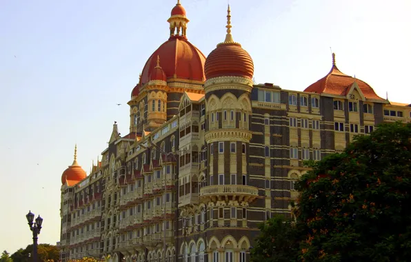 Picture trees, the city, photo, India, The Taj Mahal Palace