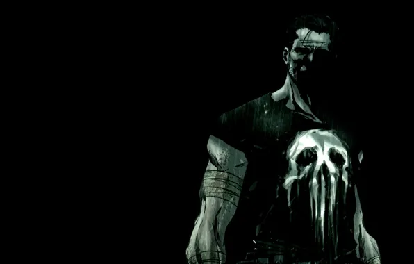 Picture Marvel, the Punisher, The Punisher