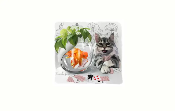 Card, cat, look, aquarium, fish
