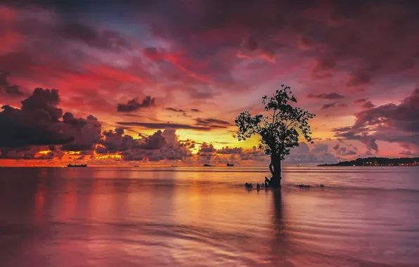 Clouds, sunset, lake, reflection, tree, ships, mirror