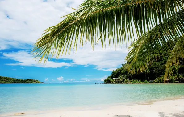 Sand, sea, beach, summer, the sky, palm trees, summer, beach