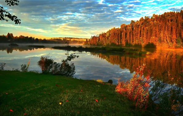 Autumn, landscape, sunset, nature, fog, river, forest, Bank