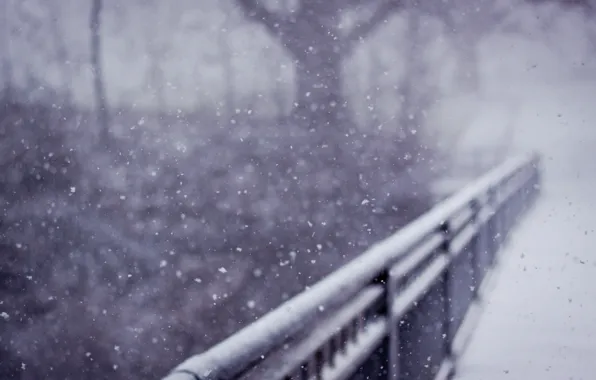 Picture winter, snow, nature, railings