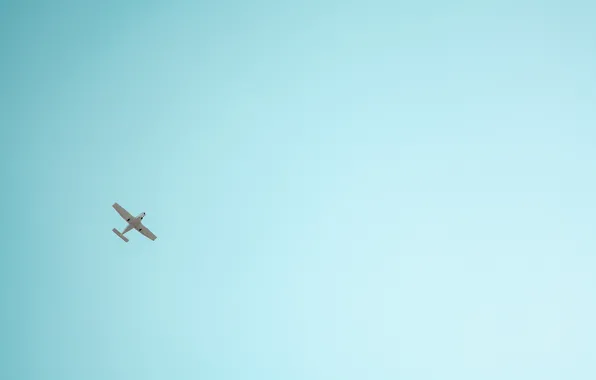 The sky, aviation, the plane
