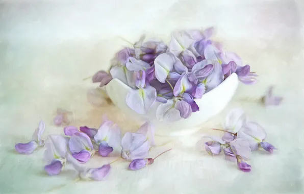 Flowers, background, bouquet, petals, art, painting, lilac, vase