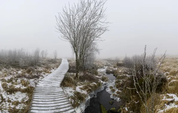 Winter, ice, track, river
