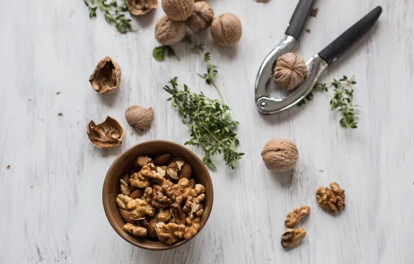 Picture background, widescreen, Wallpaper, food, walnut, plate, wallpaper, nuts