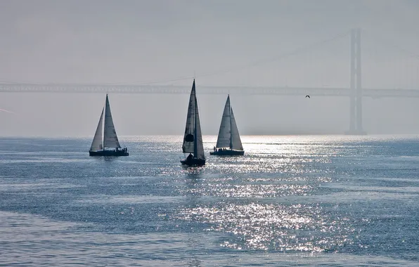 Picture sea, bridge, haze, sailboats