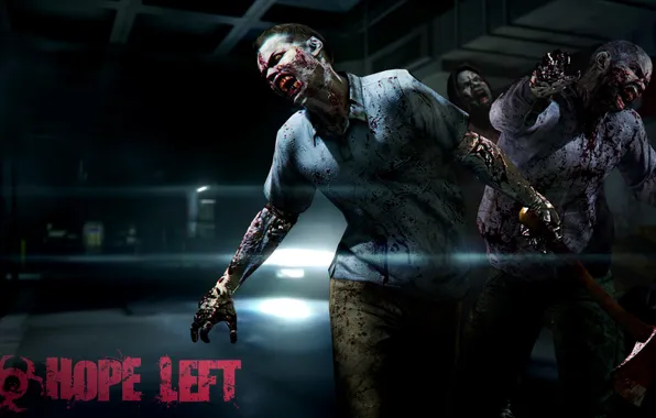 Picture axe, zombie, axe, Resident Evil 6, Biohazard 6, C-virus