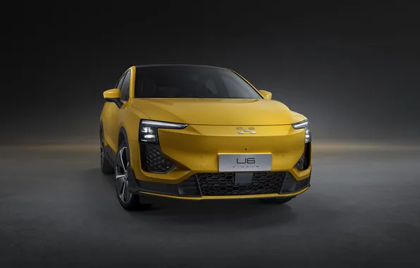 Picture car, crossover, Aiways, Aiways U6