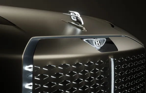 Concept, Bentley, the concept car, luxury, Suite, luxury, electric, electric car