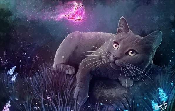 Night, Figure, The game, Butterfly, Cat, Summer, Cat, Art