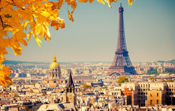 Picture autumn, leaves, the city, background, France, Paris, view, building