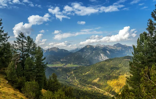 Road, greens, autumn, forest, summer, clouds, light, trees