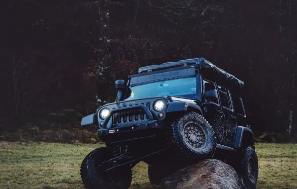 Jeep, Trees, Stone, Offroad, Nikolay Dimitrov