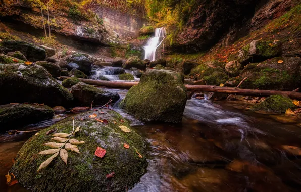 Picture autumn, leaves, stream, stones, rocks, shore, waterfall, stream