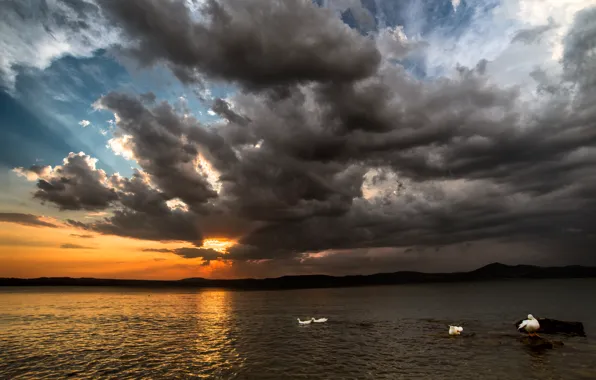 Clouds, sunset, lake, hills, duck, storm, storm, sunset