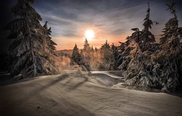 Winter, forest, the sky, the sun, clouds, light, snow, sunset