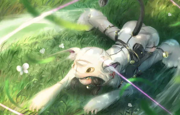 Grass, girl, flowers, anime, art, costume, tail, ears