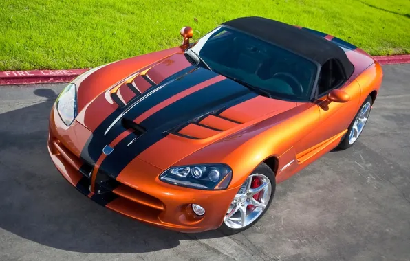 Auto, the hood, Orange, Dodge, viper, SRT, Sports car, the view from the top