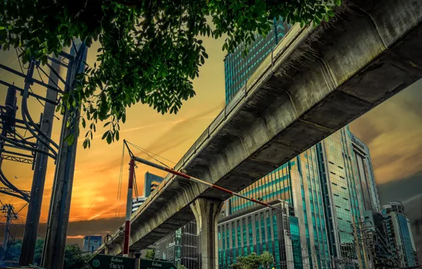House, tree, overpass, support, Thailand, Bangkok