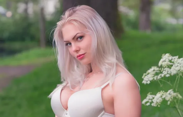 Greens, chest, sponge, white hair, elegance