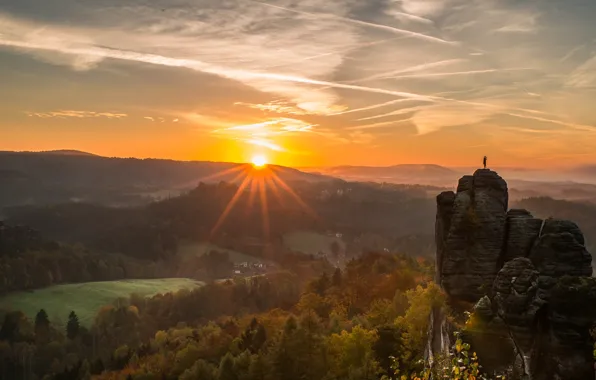 Forest, the sun, rays, mountains, Germany, Elbe Sandstone mountains