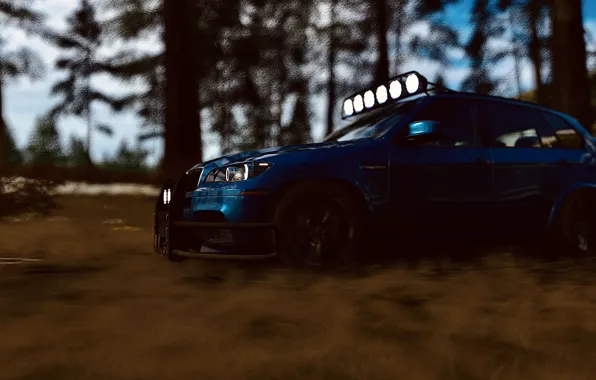 HDR, BMW, Wood, Game, SUV, X5M, Offroad, UHD