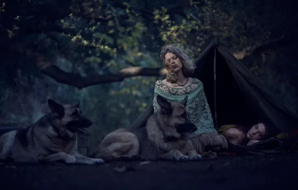 Picture forest, dogs, girls, tent, Wild, Young