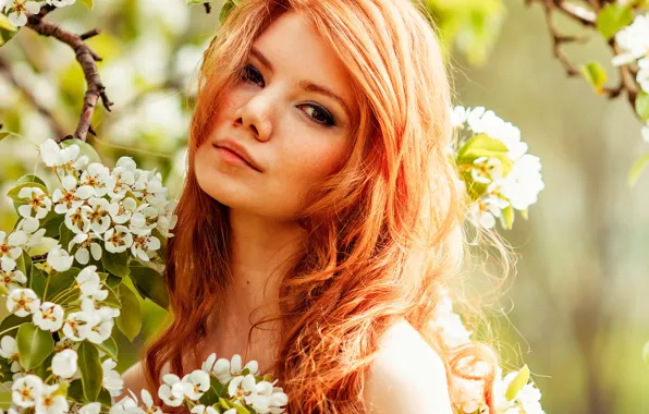 Look, girl, the sun, trees, flowers, branches, portrait, spring