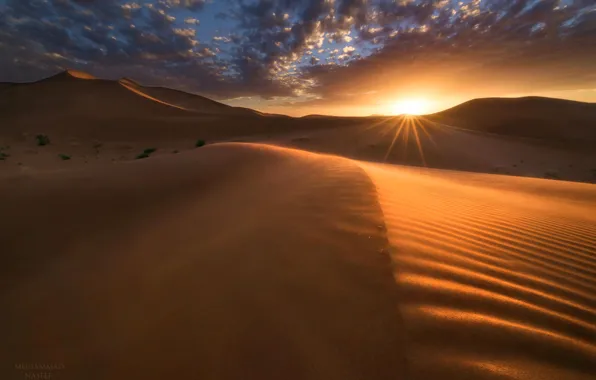 Landscape, sunset, desert, dunes