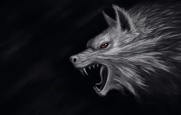 The dark background, wolf, head, art, mouth, red eyes, Olah Marin