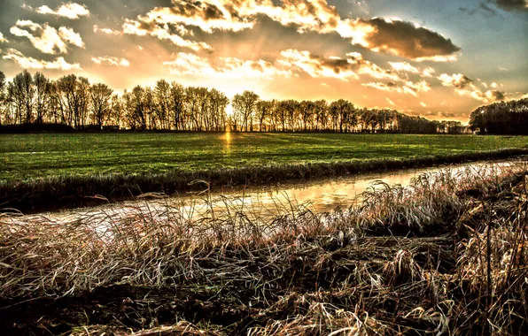 Field, the sun, trees, sunset, channel