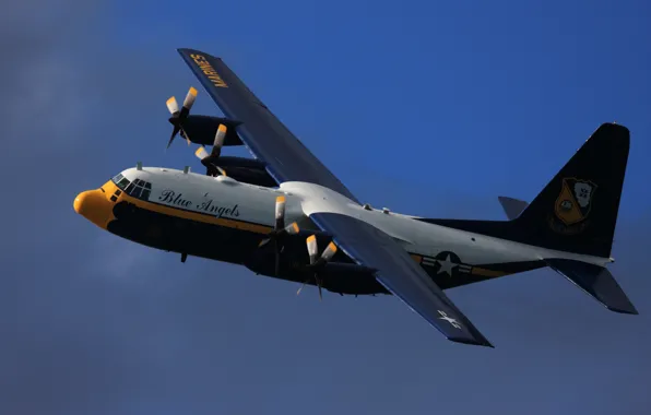 Picture Lockheed C-130 Hercules, Blue Angels, Fat Albert