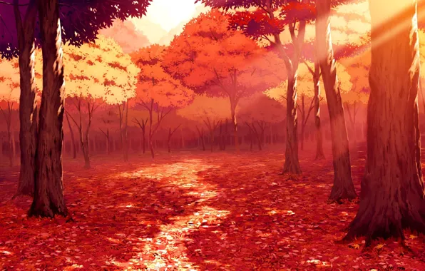 Path, Trees, Forest, Rays, Autumn.