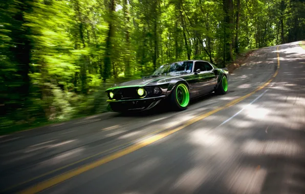 Road, nature, Mustang, Ford, RTR-X