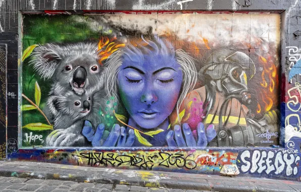 Picture Graffiti, Melbourne, Australia, Street Art, Hosier Lane