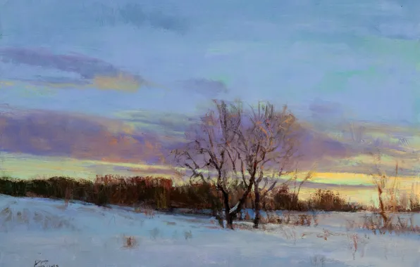 Picture winter, the sky, clouds, light, snow, landscape, sunset, branches, tree, picture, art, twilight, Peter Flower, …