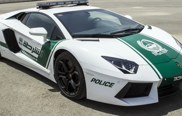 Picture lamborghini, police, dubai, aventador, 999