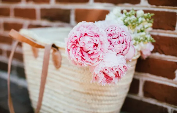Flowers, petals, pink, bag, peonies