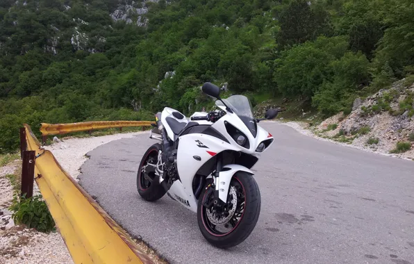 Picture road, white, trees, motorcycle, white, yamaha, bike, Yamaha