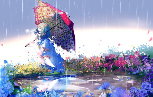 Picture the rain, drops, flowers, chamomile, umbrella, puddle, girl, sitting