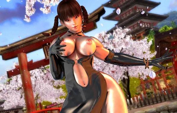 Chest, sakura, Dead or Alive, Lei Fang
